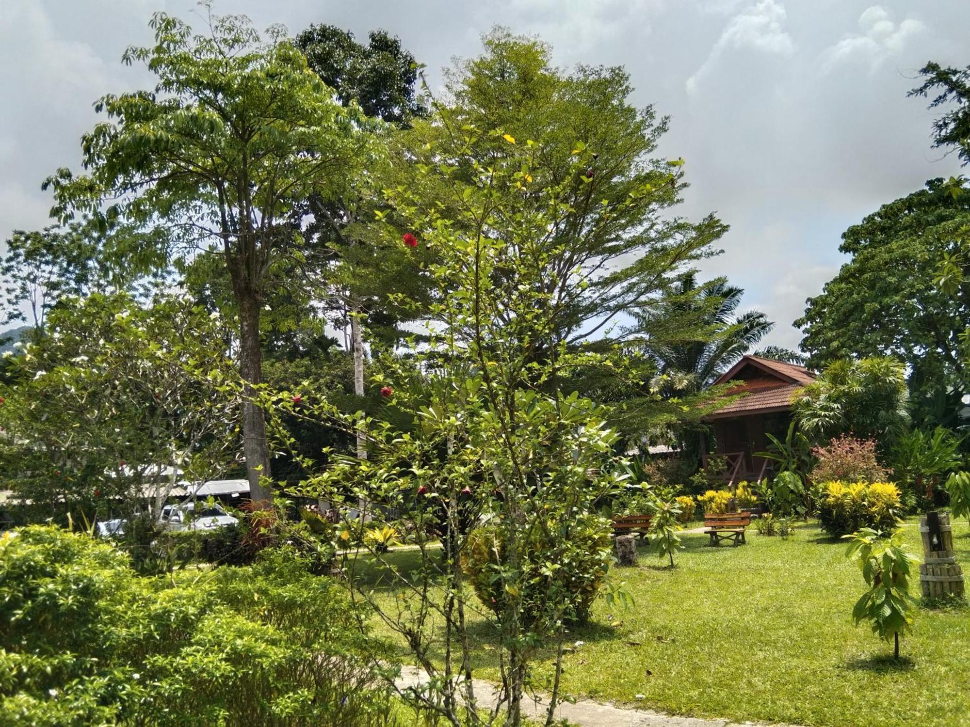 Khao Sok River & Jungle Resort Khao Sok National Park Δωμάτιο φωτογραφία